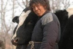 黄渤爆料大爷视频播放全集,大爷神操作视频幕后真相，全程曝光！