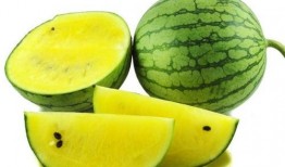 吃瓜网红视角图片素材